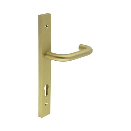 High quality image of CRES - CR-106 Satin Brass Multi Point Backplate Door Handle Sku. CR-106G4SB