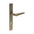 High quality image of CRES - CR-107 Antique Brass Multi Point Backplate Door Handle Sku. CR-107G4AB