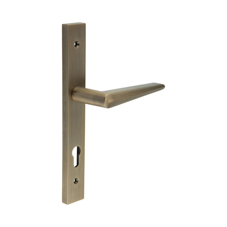 High quality image of CRES - CR-107 Antique Brass Multi Point Backplate Door Handle Sku. CR-107G4AB