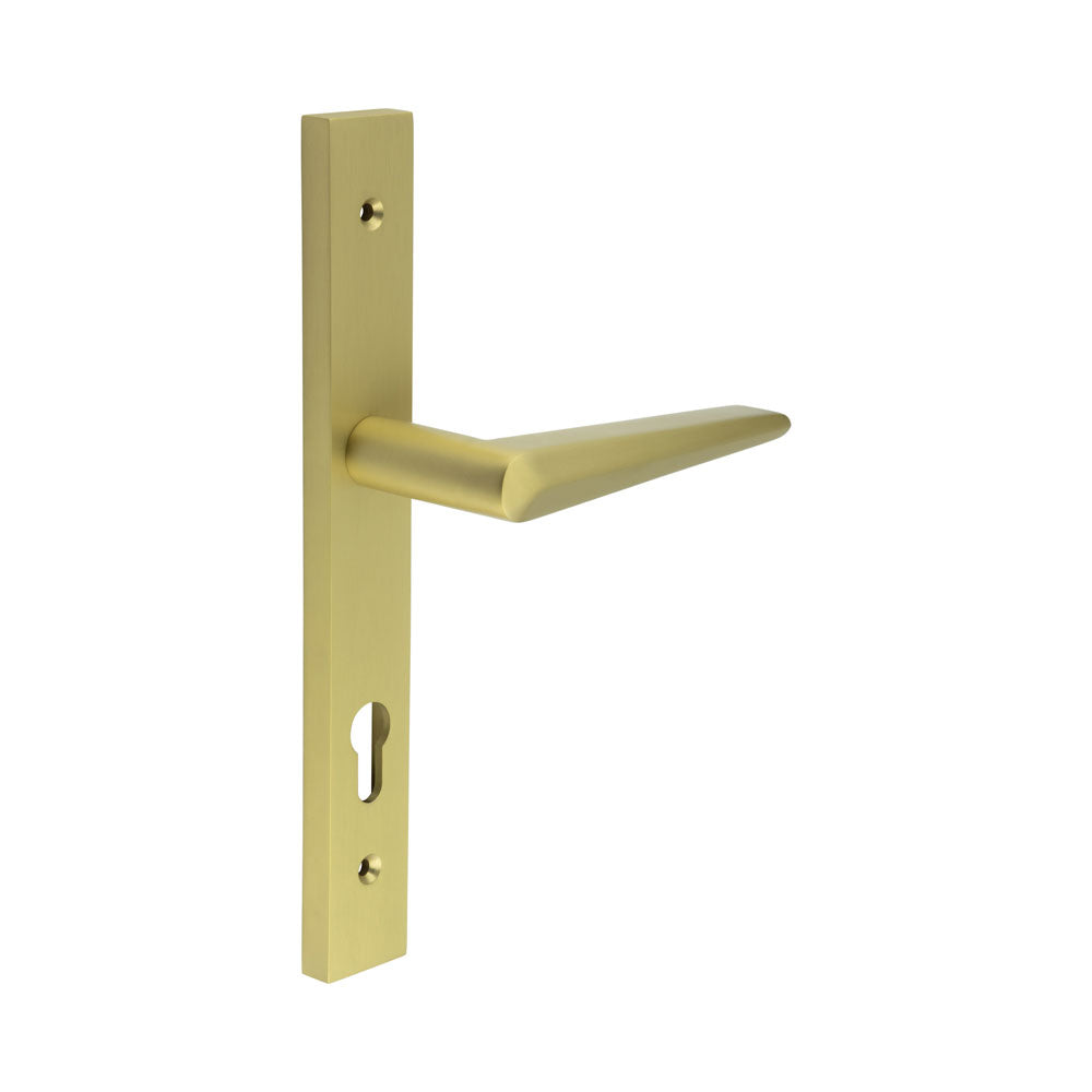 High quality image of CRES - CR-107 Satin Brass Multi Point Backplate Door Handle Sku. CR-107G4SB