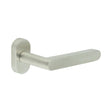 CRES Door Furniture Satin Stainless Steel / Multi Point Handles on Rose CRES - CR-101 Satin Stainless Steel Multi Point Oval Rose Door Handle