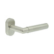 CRES Door Furniture Satin Stainless Steel / Multi Point Handles on Rose CRES - CR-102 Satin Stainless Steel Multi Point Oval Rose Door Handle