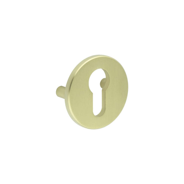CRES Door Furniture Satin Brass / Euro Profile Escutcheons CRES - Satin Brass Euro Escutcheon Lug Fixed