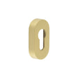 High quality image of CRES - Oval Satin Brass Euro Escutcheon Sku. CRES403SB
