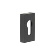High quality image of CRES - Rectangular Black Euro Escutcheon Sku. CRES404MB