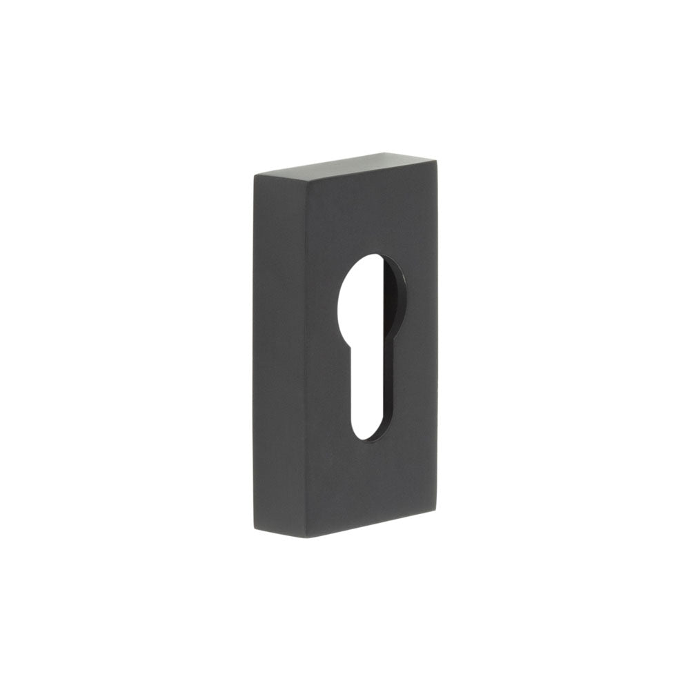 High quality image of CRES - Rectangular Black Euro Escutcheon Sku. CRES404MB