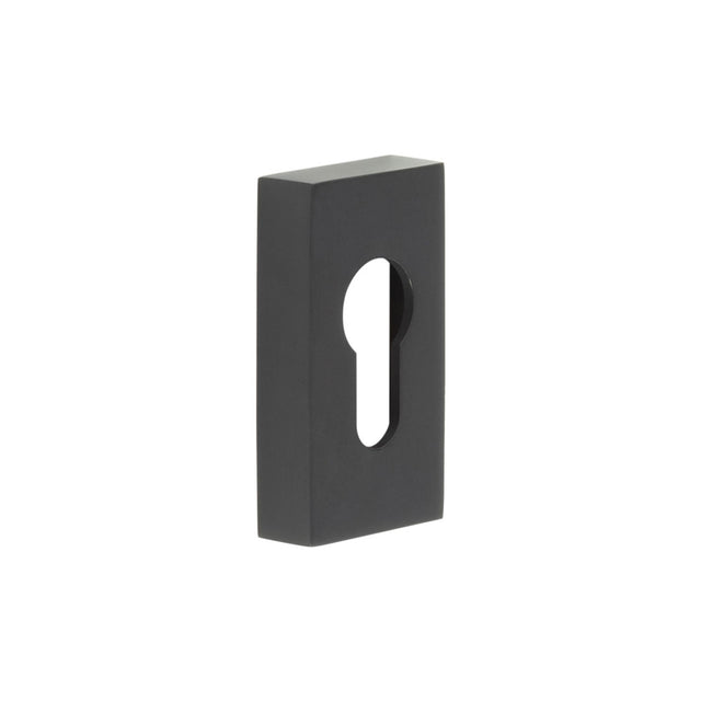 High quality image of CRES - Rectangular Black Euro Escutcheon Sku. CRES404MB