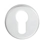 High quality image of Eurospec - Euro Escutcheon - Satin Stainless Steel | Sku. cse1005sss | Trade Door Handles.