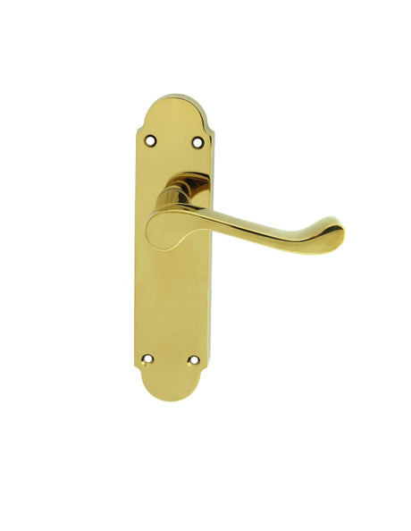 High quality image of Carlisle Brass - Oakley Lever on Latch Backplate - Polished Brass | Sku. dl167 | Trade Door Handles.