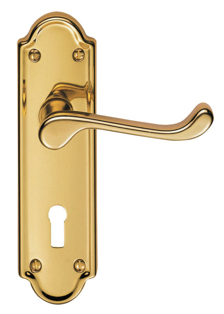High quality image of Carlisle Brass - Ashtead Lever on Lock Backplate - Polished Brass | Sku. dl17 | Trade Door Handles.