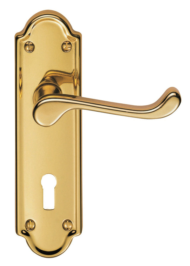High quality image of Carlisle Brass - Ashtead Lever on Lock Backplate - Polished Brass | Sku. dl17 | Trade Door Handles.