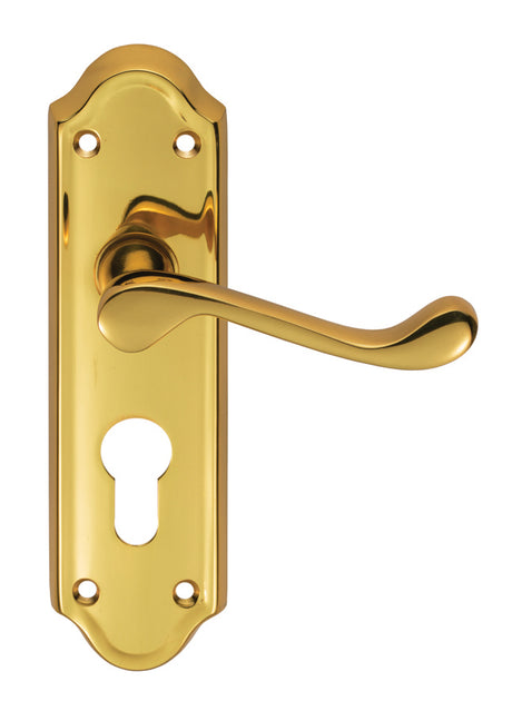 High quality image of Carlisle Brass - Ashtead Lever on Euro Lock Backplate - Polished Brass | Sku. dl17y | Trade Door Handles.