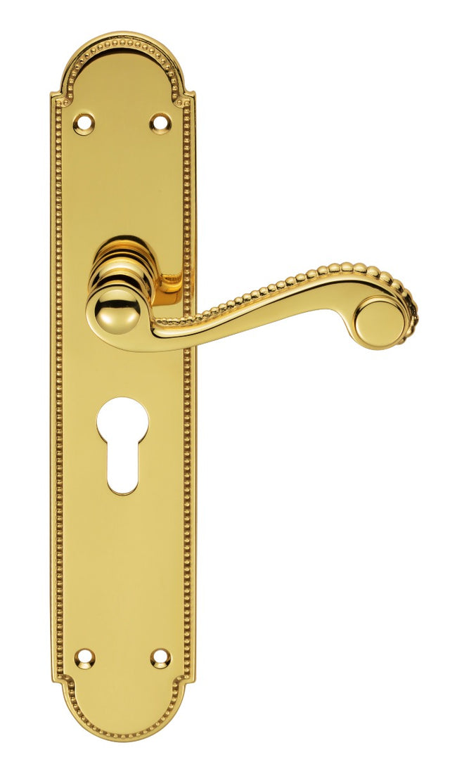 High quality image of Carlisle Brass - Chesham Lever on Euro Lock Long Backplate - Polished Brass | Sku. dl271y | Trade Door Handles.