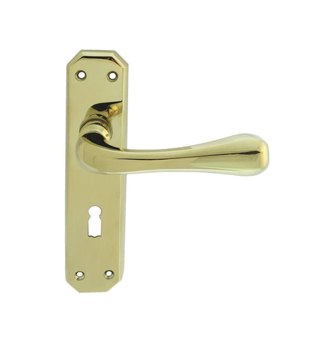 High quality image of Carlisle Brass - Eden Lever on Lock Backplate - Stainless Brass | Sku. dl410pvd | Trade Door Handles.