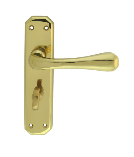 High quality image of Carlisle Brass - Eden Lever on WC Backplate - Polished Brass | Sku. dl412 | Trade Door Handles.
