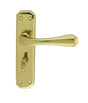 High quality image of Carlisle Brass - Eden Lever on WC Backplate - Polished Brass | Sku. dl412 | Trade Door Handles.