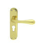 High quality image of Manital - Astro Lever on Euro Lock Backplate - Polished Brass | Sku. el21y | Trade Door Handles.