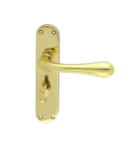 High quality image of Manital - Astro Lever on WC Backplate - Polished Brass | Sku. el23 | Trade Door Handles.
