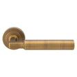 High quality image of Carlisle Brass - Amiata Lever on Rose - Antique Brass | Sku. eul040ab | Trade Door Handles.