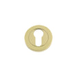 High quality image of the Fulton & Bray - Euro Profile Escutcheon 50 x 8mm - Polished Brass | Sku. fb001pb | available to order from Trade Door Handles.