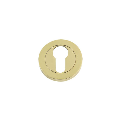 High quality image of the Fulton & Bray - Euro Profile Escutcheon 50 x 8mm - Polished Brass | Sku. fb001pb | available to order from Trade Door Handles.