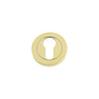 High quality image of the Fulton & Bray - Euro Profile Escutcheon 50 x 8mm - PVD Brass | Sku. fb001pvd | available to order from Trade Door Handles.