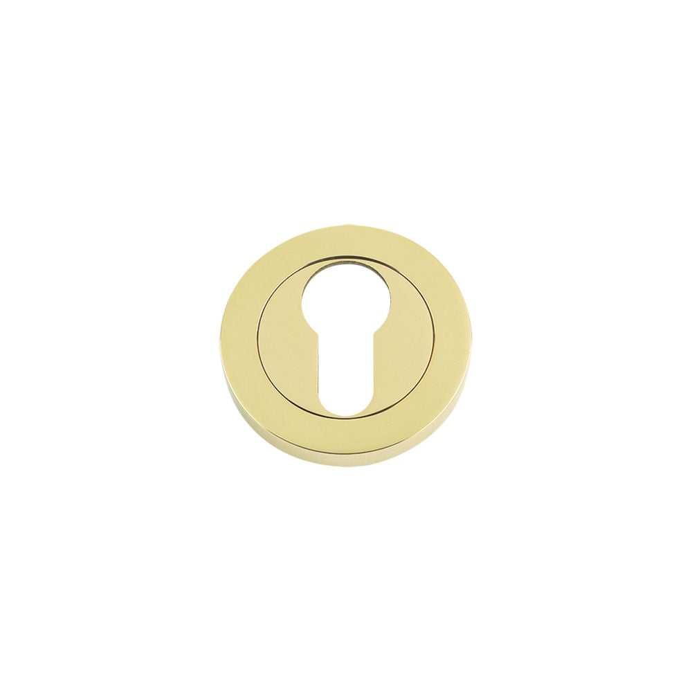 High quality image of the Fulton & Bray - Euro Profile Escutcheon 50 x 8mm - PVD Brass | Sku. fb001pvd | available to order from Trade Door Handles.