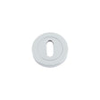 High quality image of the Fulton & Bray - Standard Key Profile 50 x 8mm - Polished Chrome | Sku. fb002cp | available to order from Trade Door Handles.