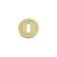 High quality image of the Fulton & Bray - Standard Key Profile 50 x 8mm - Polished Brass | Sku. fb002pb | available to order from Trade Door Handles.