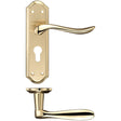 High quality image of the Fulton & Bray - Lincoln Lever Euro Lock (47.5mm c/c) Furniture 180 x 48mm - Satin Chrome/Polished Chrome | Sku. fb041epsbpb | available to order from Trade Door Handles.