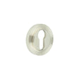 Frelan Hardware Door Furniture Polished Nickel / Euro Profile Escutcheons Frelan - Burlington Euro Profile Escutcheons Reeded Rose Polished Nickel