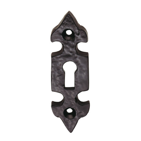High quality image of Ludlow - Fleur de lys' Escutcheon - Black Antique | Sku. lf5532 | Trade Door Handles.