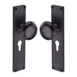 Heritage Brass Door Furniture Matt Bronze / Mortice Knobs Heritage Brass Mortice Knob on Reeded Euro Profile Plate Victoria Design Matt Bronze finish
