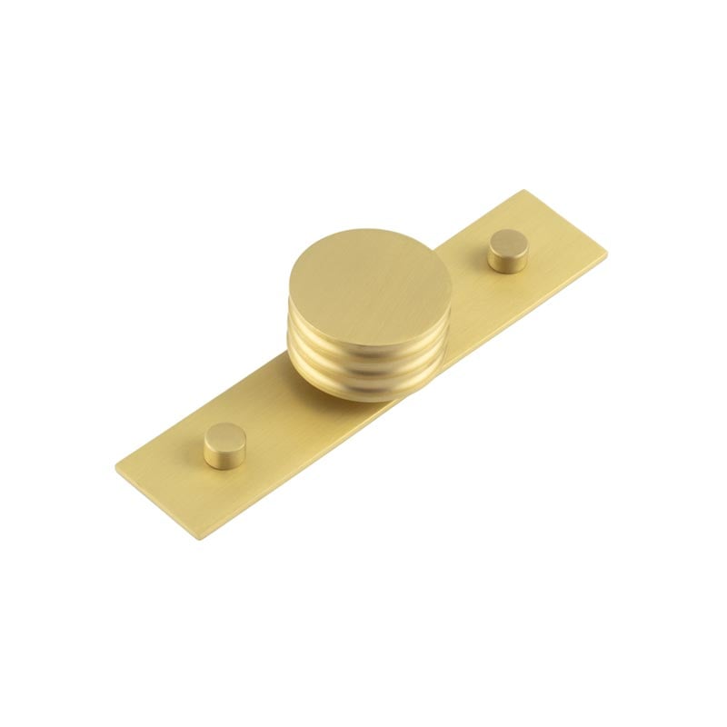 This is an image showing the Frelan - Sturt Cupboard Knobs 40mm Plain Satin Brass available to order from Trade Door Handles in Kendal