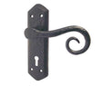 High quality image of Frelan - Royal Suite Door Handle on Lockplate Black Sku. JAB400