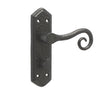 High quality image of Frelan - Royal Suite Door Handle on Bathroom Plate Black Sku. JAB400B