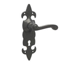 High quality image of Frelan - Fleur De Lys Suite Door Handle on lockplate Black Sku. JAB83