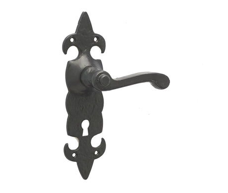High quality image of Frelan - Fleur De Lys Suite Door Handle on lockplate Black Sku. JAB83
