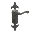 High quality image of Frelan - Fleur De Lys Suite Door Handle on Bathroom Plate Black Sku. JAB83B