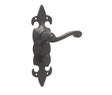 This is an image showing the Frelan - Fleur De Lys Bathroom Lock Handles available to order from Trade Door Handles in Kendal