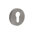 This is an image showing the Frelan - GM Euro Profile Escutcheon PVD 52x8mm available to order from Trade Door Handles in Kendal