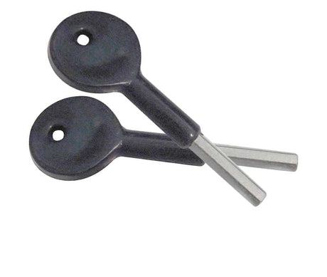 This is an image showing the Frelan - 2 x Key for Locking Sash Stop's available to order from Trade Door Handles in Kendal