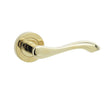 High quality image of Frelan - Gamma Door Handles Brass Finish Sku. JV509PVD