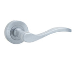 High quality image of Frelan - Turin Door Handle on Rose Satin Chrome Sku. JV550SC