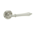 High quality image of Frelan - Camille Door Handle on Rose Satin Nickel Sku. JV651SN