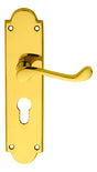 High quality image of Carlisle Brass - Victorian Scroll Lever on Shaped Euro Lock Backplate - Polished Brass | Sku. m68y | Trade Door Handles.