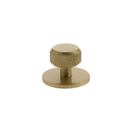 Millhouse Brass Cabinet Hardware Satin Brass / Cabinet Knobs Millhouse Brass Eiffel Knurled Round Cabinet Knob Handle on Backplate - Satin Brass