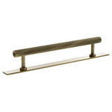 Millhouse Brass Cabinet Hardware Antique Brass / Cabinet Pull Handles Millhouse Brass Paddington Spiral T-Bar Cabinet Pull Handle on Backplate 160mm - Antique Brass