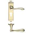 High quality image of the PR0 - Project Range - Project Arundel Lever on Europrofile Lock Backplate - 180mm x 40mm - Electro Brass | Sku. pr031epeb | available to order from Trade Door Handles.