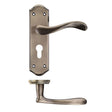 High quality image of the PR0 - Project Range - Project Asti Lever on Europrofile Lock Backplate - Bronze | Sku. pr061epfb | available to order from Trade Door Handles.